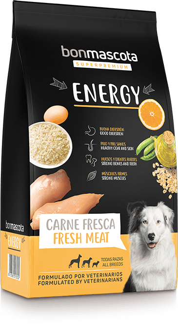 img-sack-energy