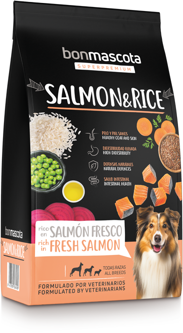 img-sack-salmon-rice